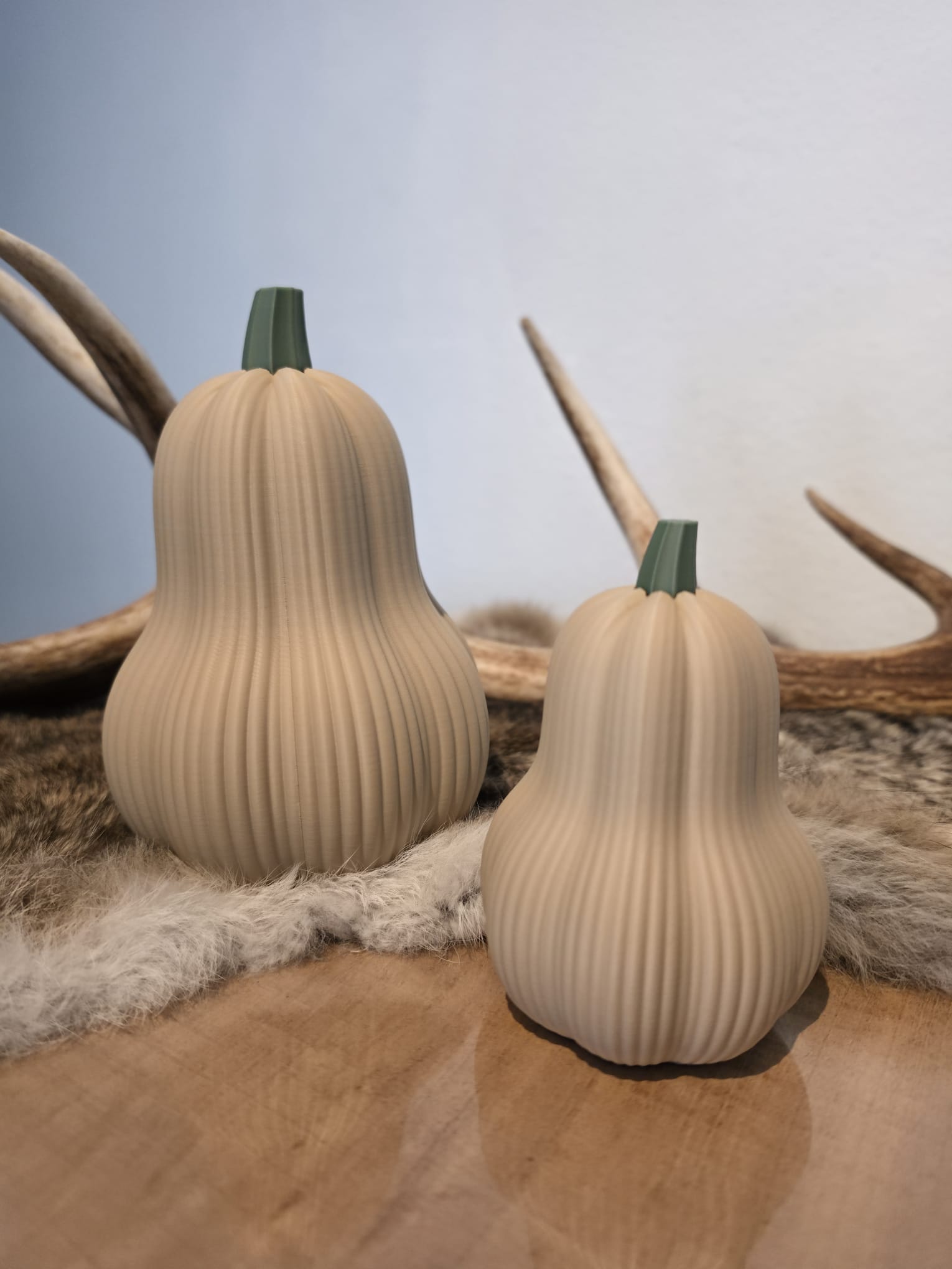 3D geprinte pompoen decoratie – beige set van 2 met groene steel en geweien op de achtergrond