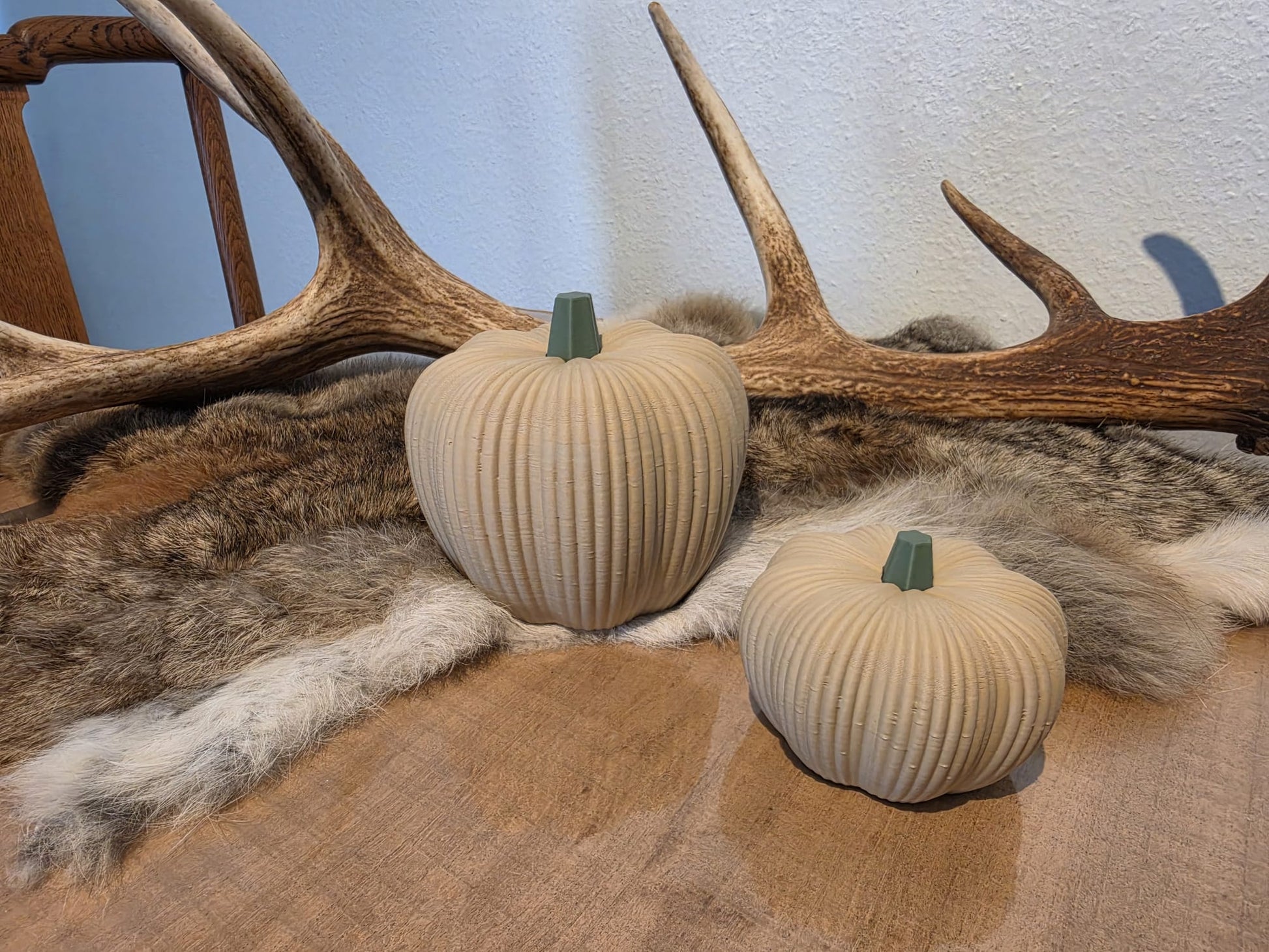 3D geprinte geribbelde pompoenen naturel op bont en hout met gewei